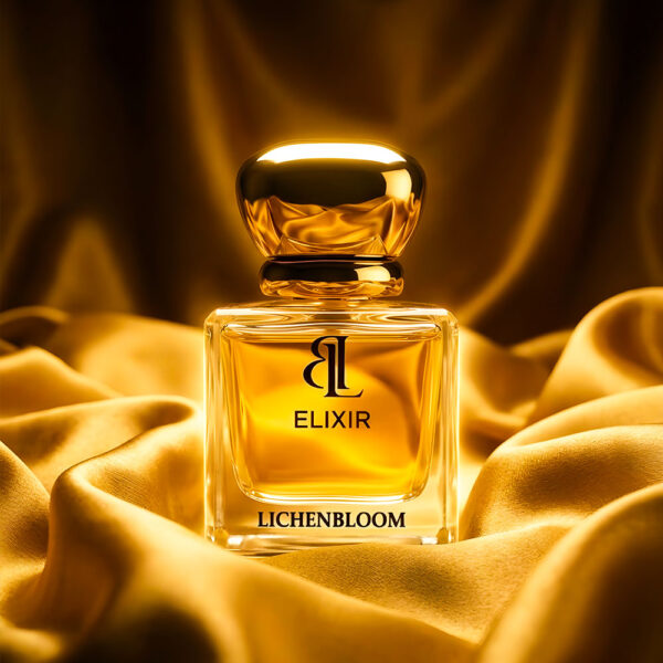 elixir-inside-4