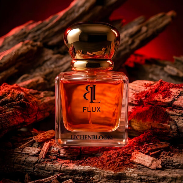 flux-inside-3